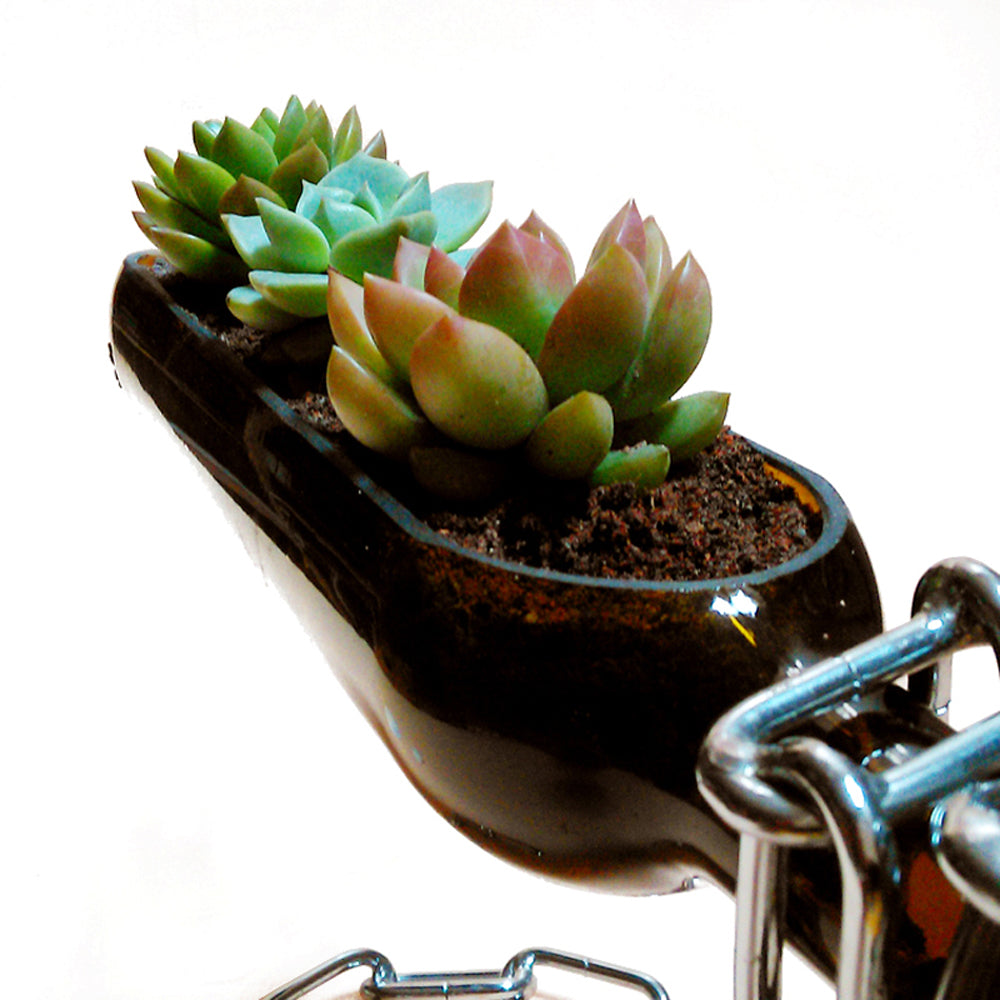 Glass Floating Shelf Decoration